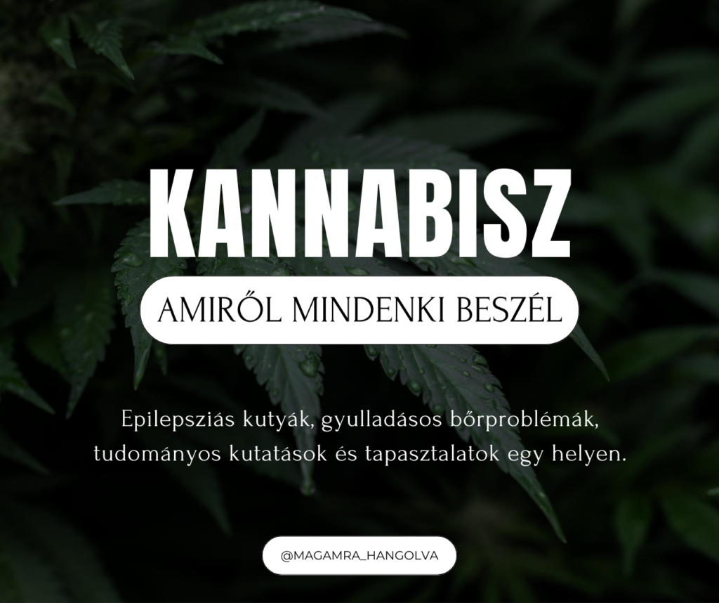 Mi a különbség a CBD és a THC között? Milyen hatása van a kannabisznak epilepsziás kutyákra vagy gyulladt bőrre? Valós tapasztalatok, legfrissebb kutatások és európai jogi helyzet egy cikkben – tudományos alapokon, tabuk nélkül.